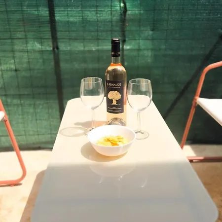 Duplex Climatisé Avec Terrasse à Nice