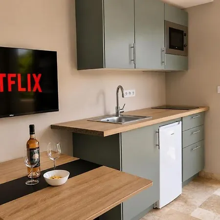 Duplex Climatisé Avec Terrasse à *